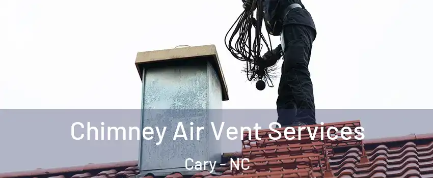 Chimney Air Vent Services Cary - NC