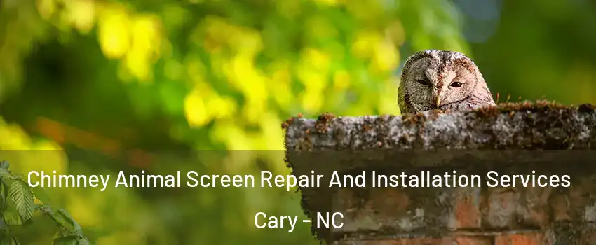Chimney Animal Screen Repair And Installation Services Cary - NC