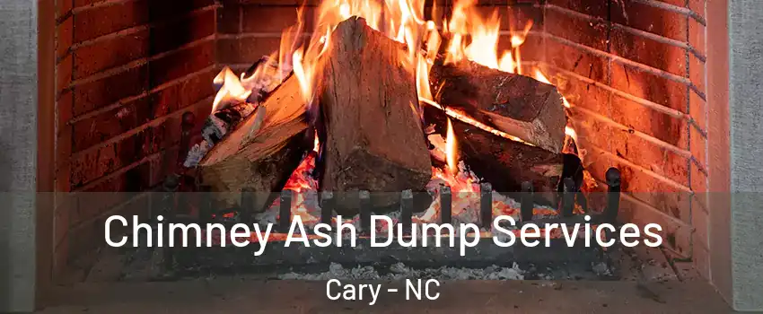 Chimney Ash Dump Services Cary - NC