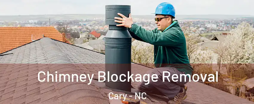 Chimney Blockage Removal Cary - NC