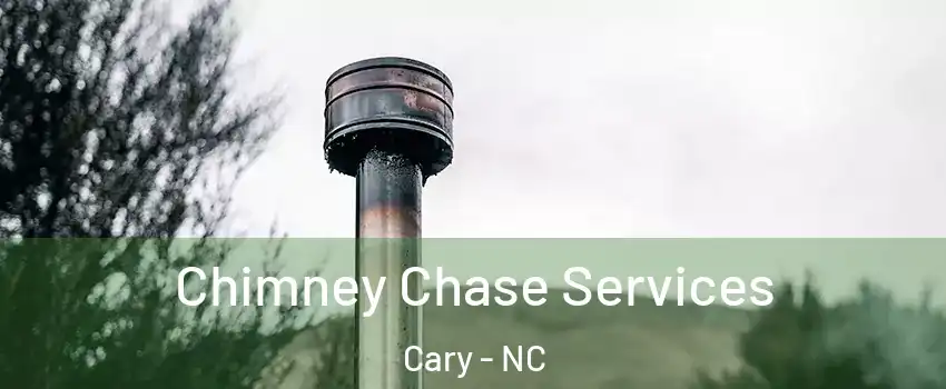 Chimney Chase Services Cary - NC
