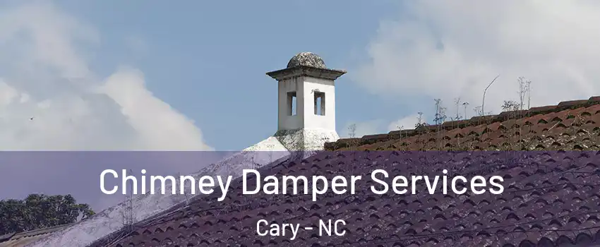Chimney Damper Services Cary - NC