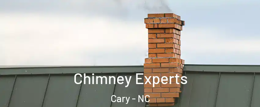 Chimney Experts Cary - NC