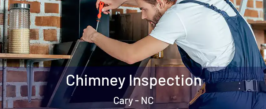 Chimney Inspection Cary - NC