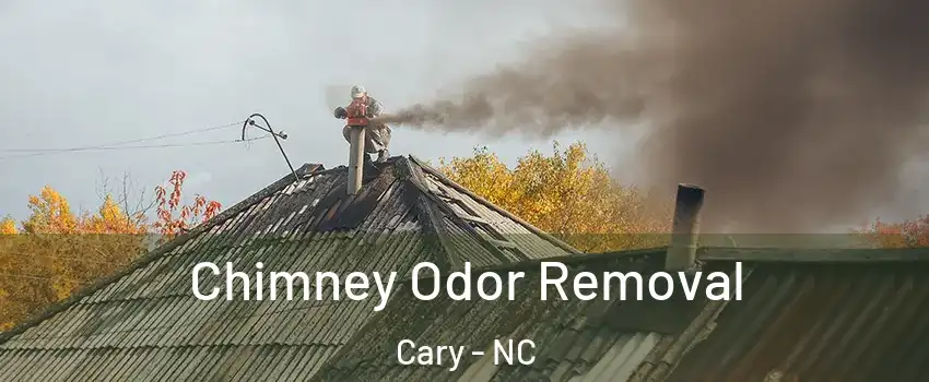 Chimney Odor Removal Cary - NC