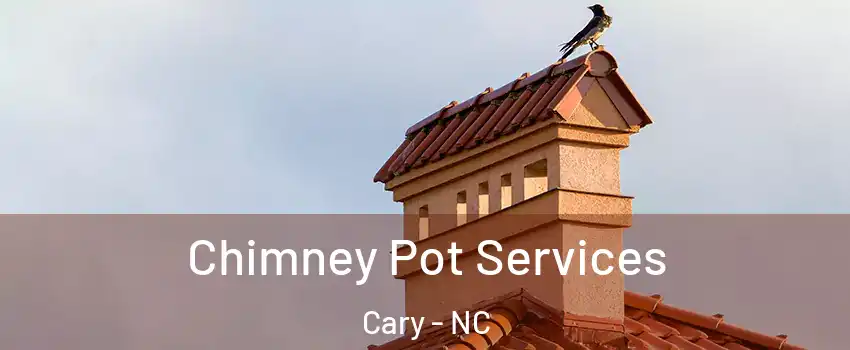 Chimney Pot Services Cary - NC