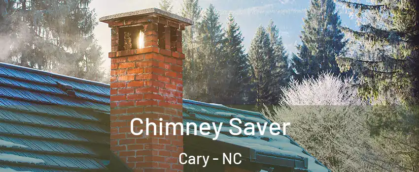 Chimney Saver Cary - NC