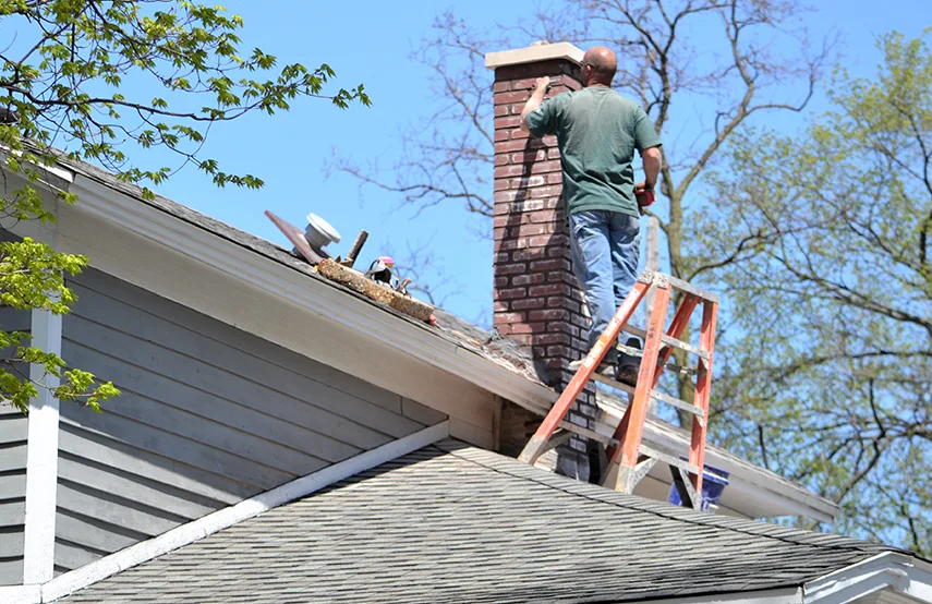 Chimney & Fireplace Inspections Services in Cary, NC