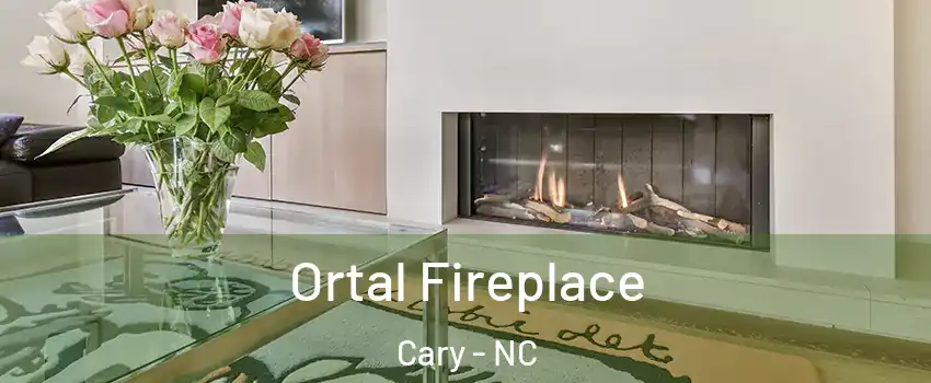 Ortal Fireplace Cary - NC